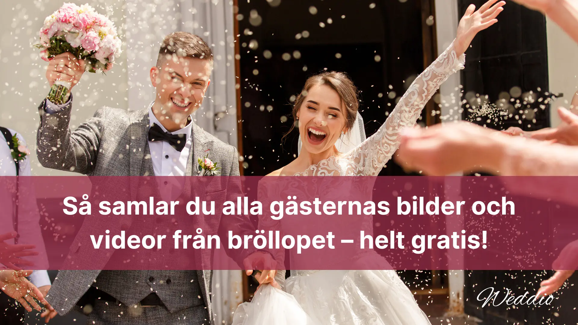 Skapa ett gratis digitalt fotoalbum för bröllopsbilder 11 Samla in bilder och videor från bröllopet gratis